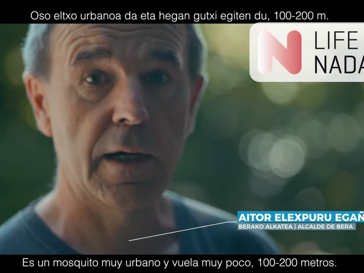 FOTOGRAMA DEL VIDEO