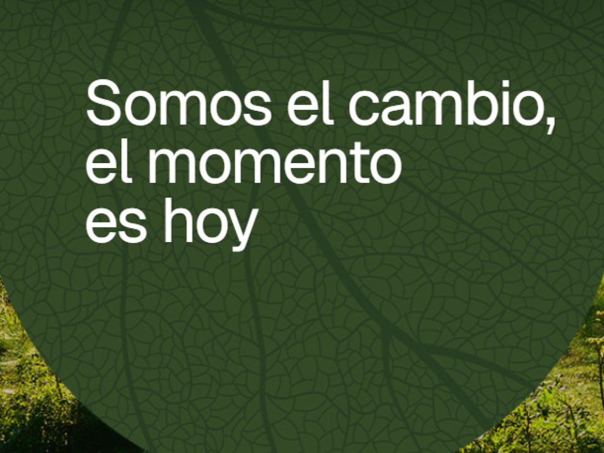 CARTEL