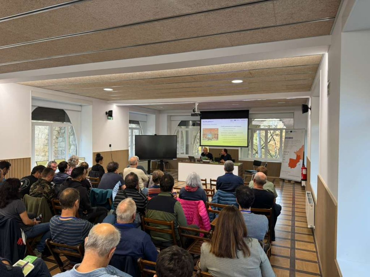 Foto de la sala 2